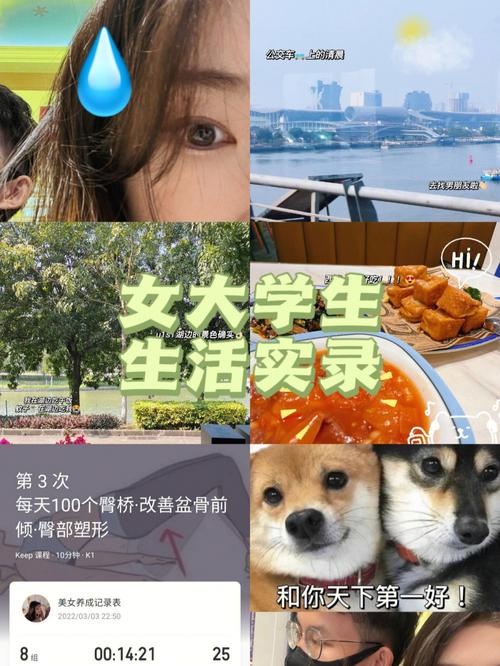 我的大学生活S3最新剧情详解及玩法攻略