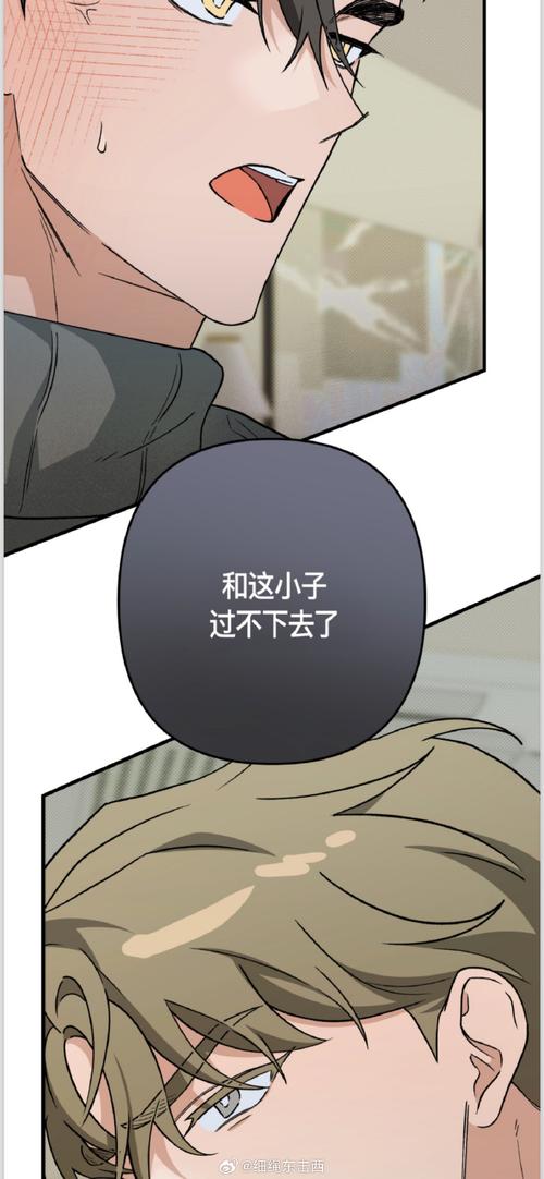 家庭生活汉化版更新：有哪些新内容值得期待？