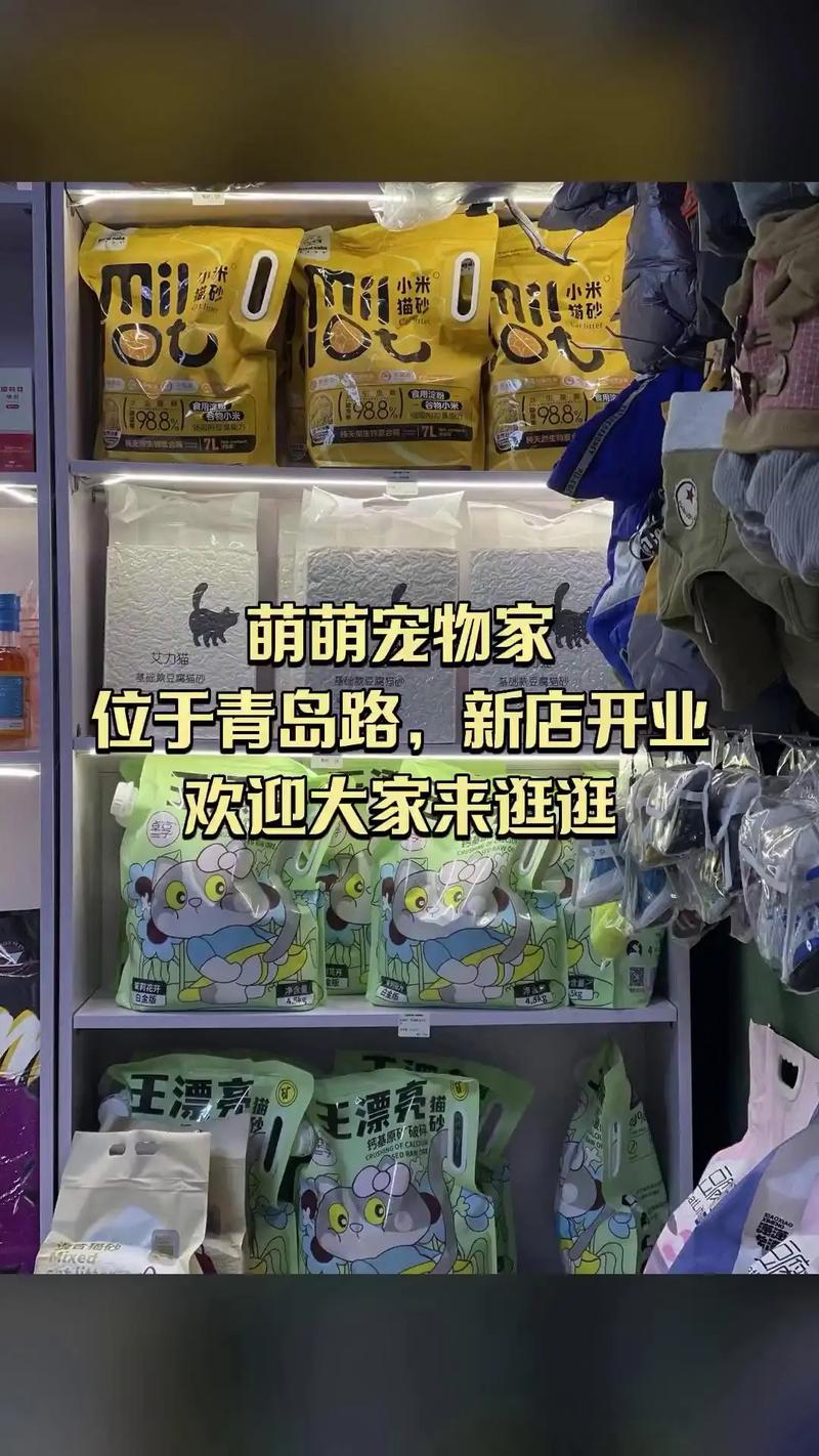 淘气屋最新宠物:金毛、拉布拉多等名犬入驻!