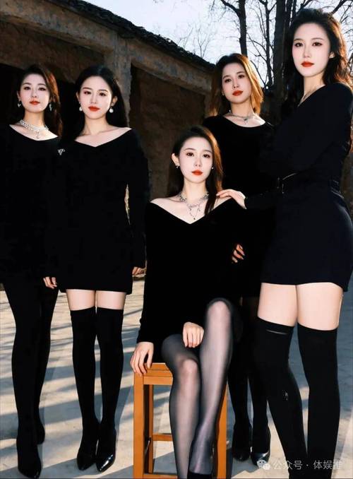 想玩黑巢姐妹?官网正版下载地址在此