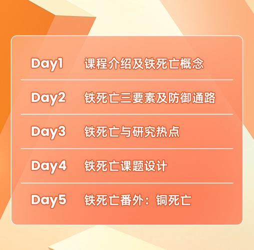 妇科医生下载地址及使用指南，让你轻松上手