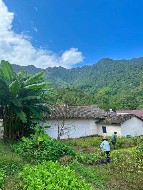 乡下生活下载地址:哪个版本最好玩?