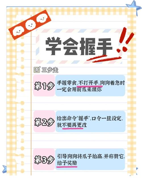 轻松下载精灵女上司的训狗术,新手玩家必看指南