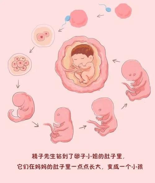 想了解性启蒙汉化版更新？这里有最新内容和下载方式