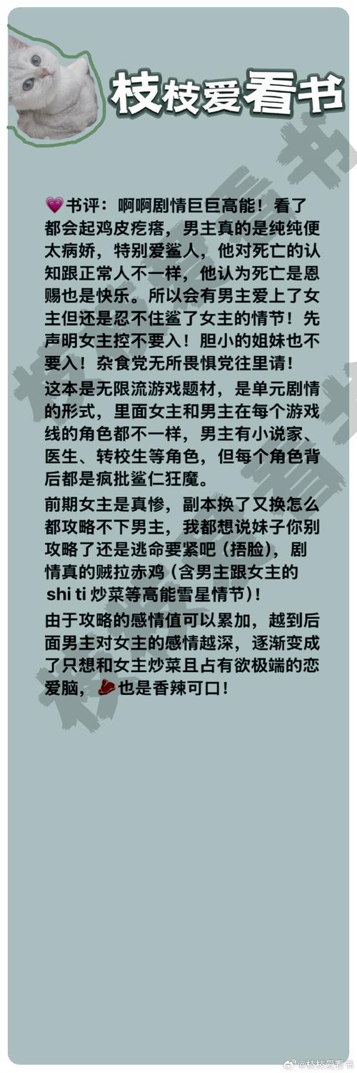 汉化版罪孽高跟鞋更新了哪些内容？玩家必看！