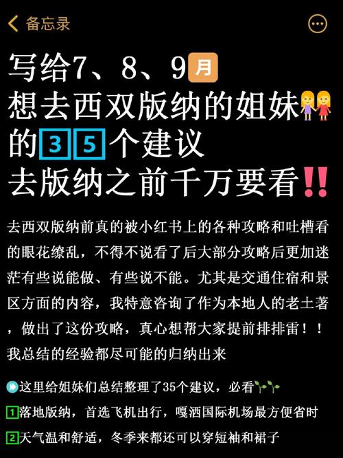 凤凰V11外传Wet下载指南：避坑指南，快速上手！