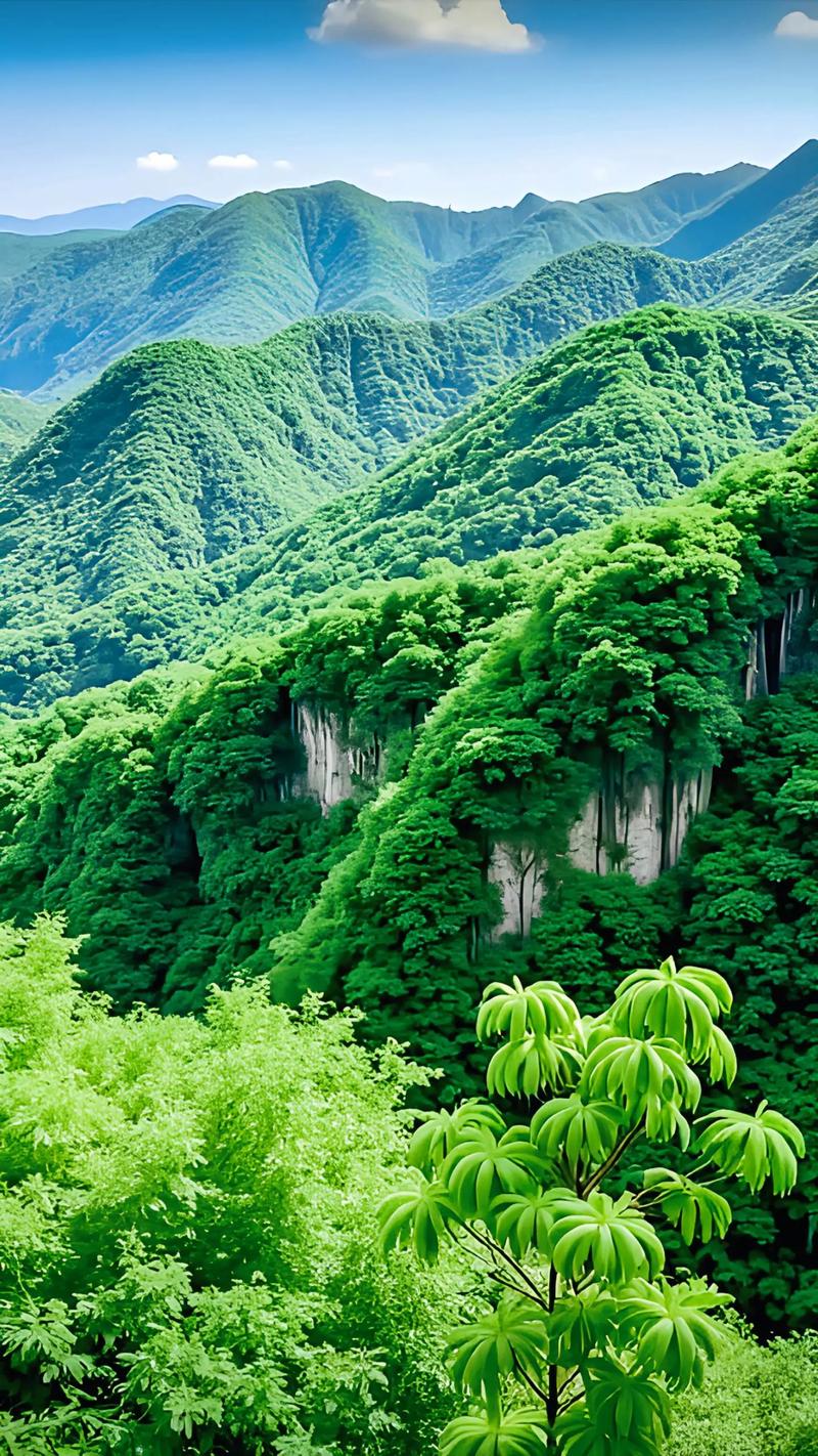 想玩小绿山？这里有你想要的小绿山版本大全！