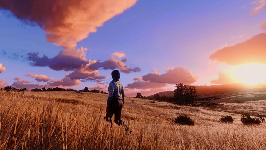 荒野大嫖客MOD版本大全：丰富你的游戏体验！