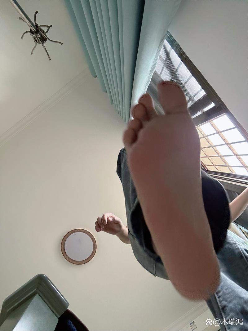 最全脚下的正常生活1V1.41下载资源汇总，快速下载无病毒