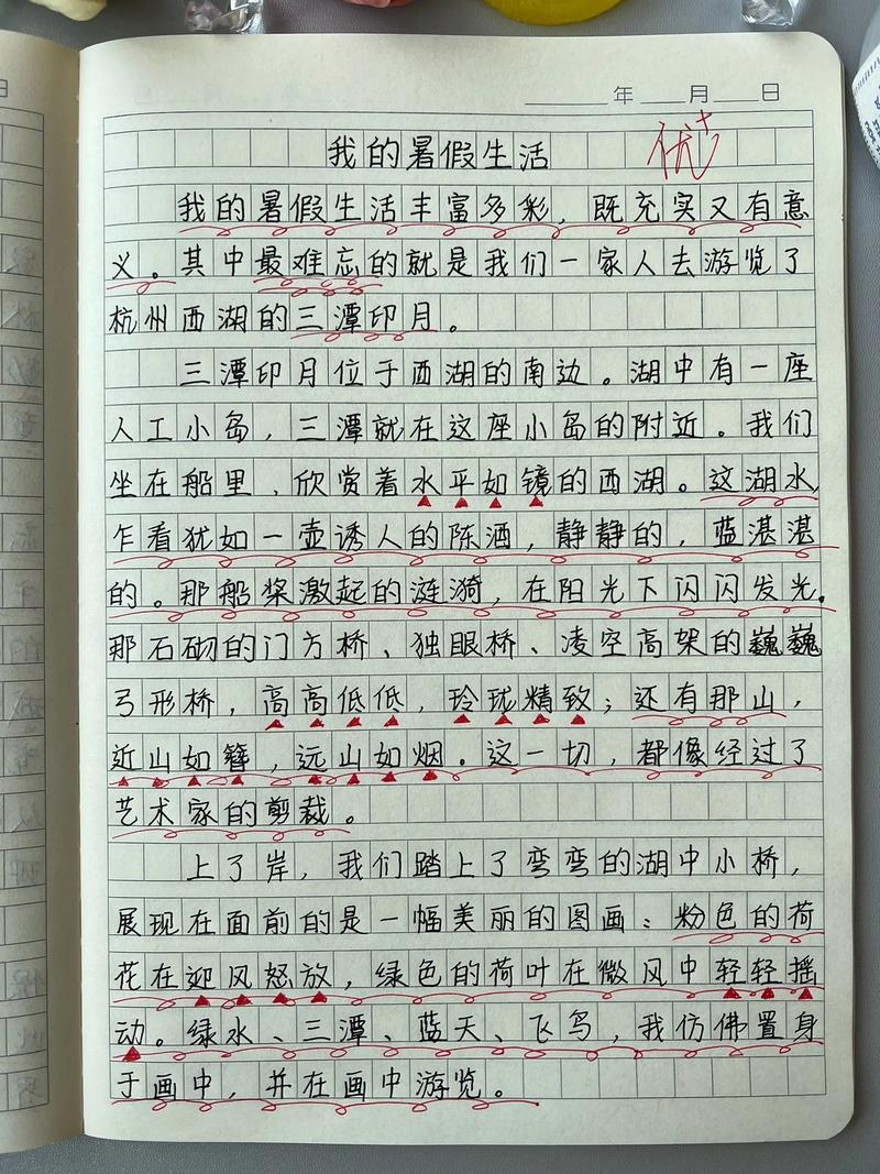 乡村生活的快乐暑假版本大全:我的暑假日记