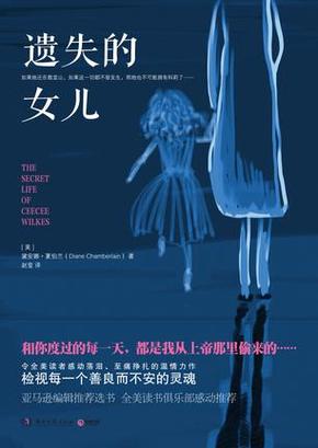 遗失的女儿游戏详解：沉浸式剧情，感受寻女之路的酸甜苦辣