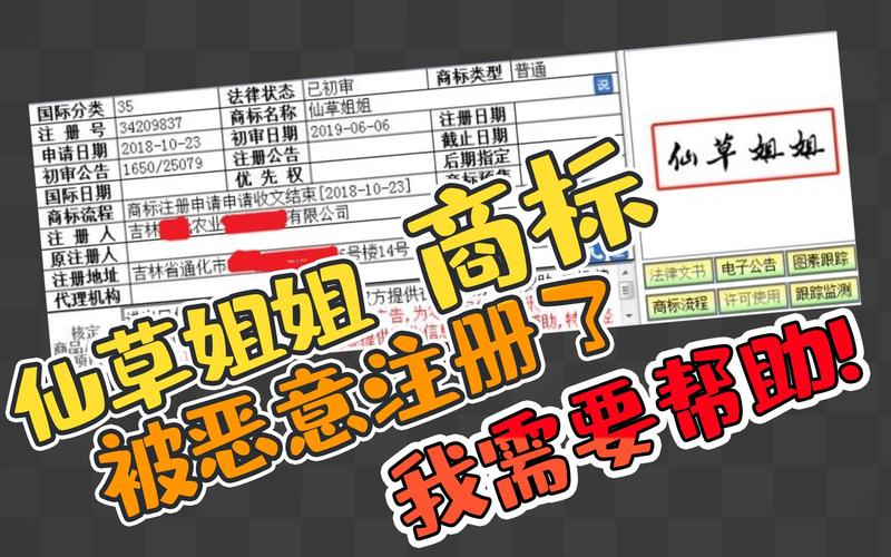 被恶霸侵犯的姐姐：下载地址及观看指南
