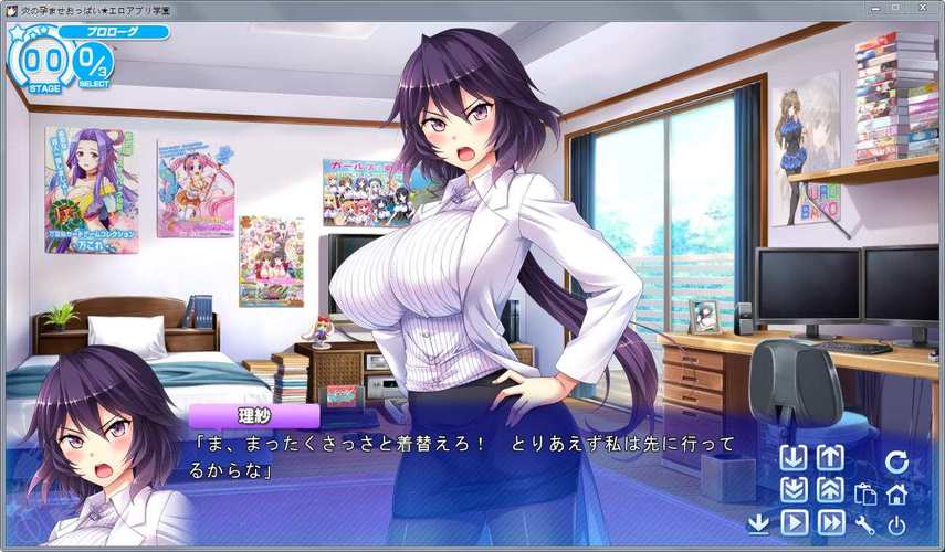 爆炎之孕2绅士游戏体验:高清画质与精彩剧情深度解析