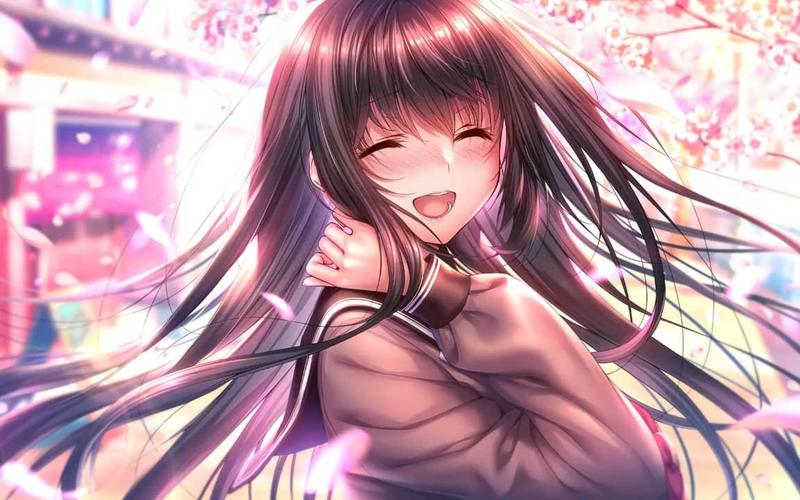 海豹社30部合集汉化版下载:新手玩家必看下载指南