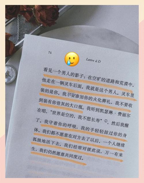 真爱难寻？找不到真爱就扑街汉化版最新更新速览！