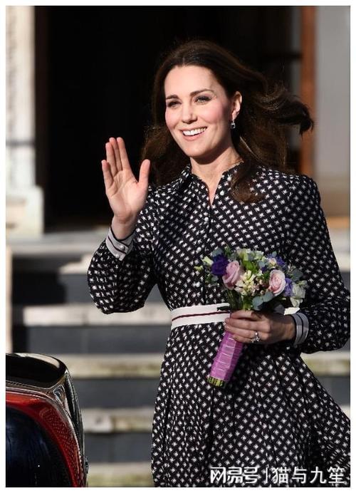 凯特最新版本哪里可以看?超清画质在线播放