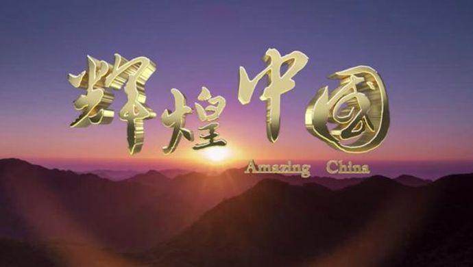 族长官网：家族发展，资源共享，成就辉煌！