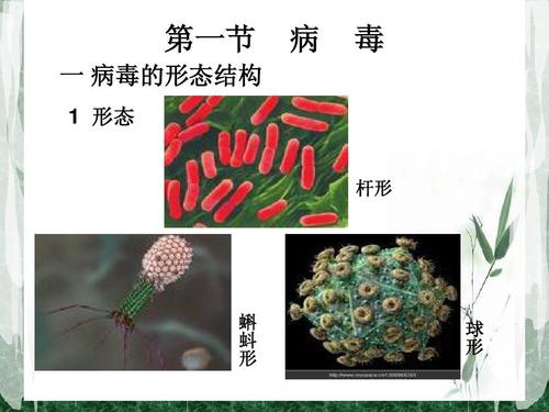 七界下载方法大全:避免下载到病毒的方法