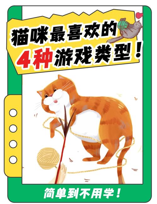 你的猫咪会玩杨过游戏吗?一起来看看吧