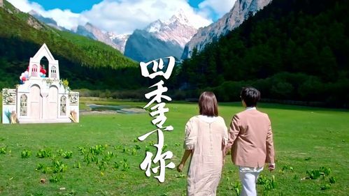 四季版本大全：经典名家演奏推荐，总有一款适合你