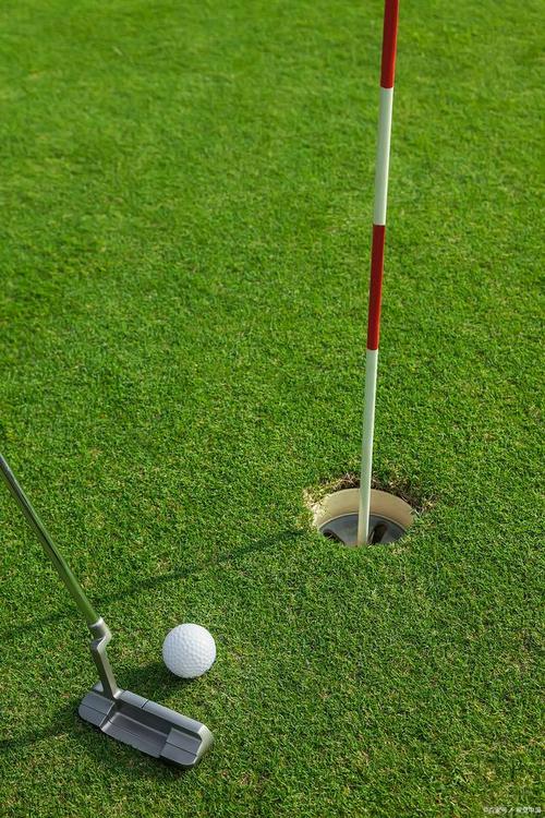 高尔夫是棒球洞的运动?欲望国度最新版游戏推荐!