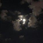 堕落之春汉化版下载：最新版本等你体验！