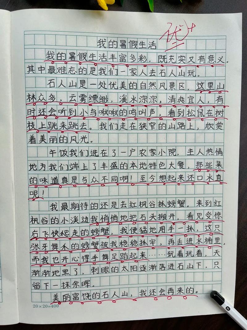 乡村生活的快乐暑假版本大全:我的暑假日记