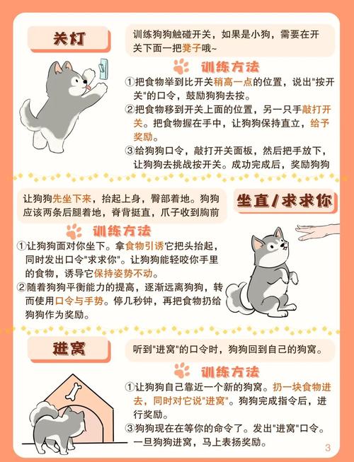 精灵女上司的训狗术版本大全：完整攻略与技巧分享