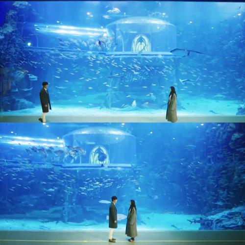 勇气之爱官方网站：寻找爱的勇气，这里有你想要的答案