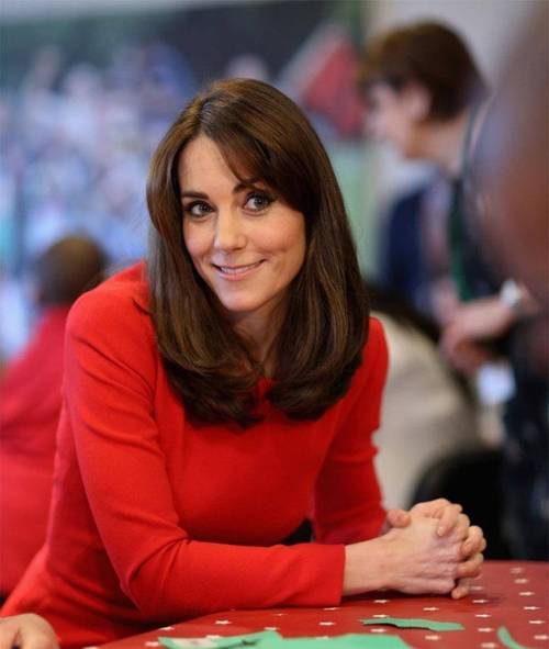 凯特最新版本哪里可以看?超清画质在线播放