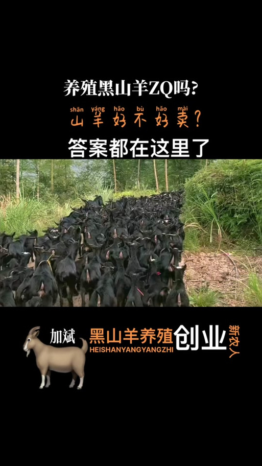 想知道黑山羊之夜汉化版更新了什么？这里有答案！