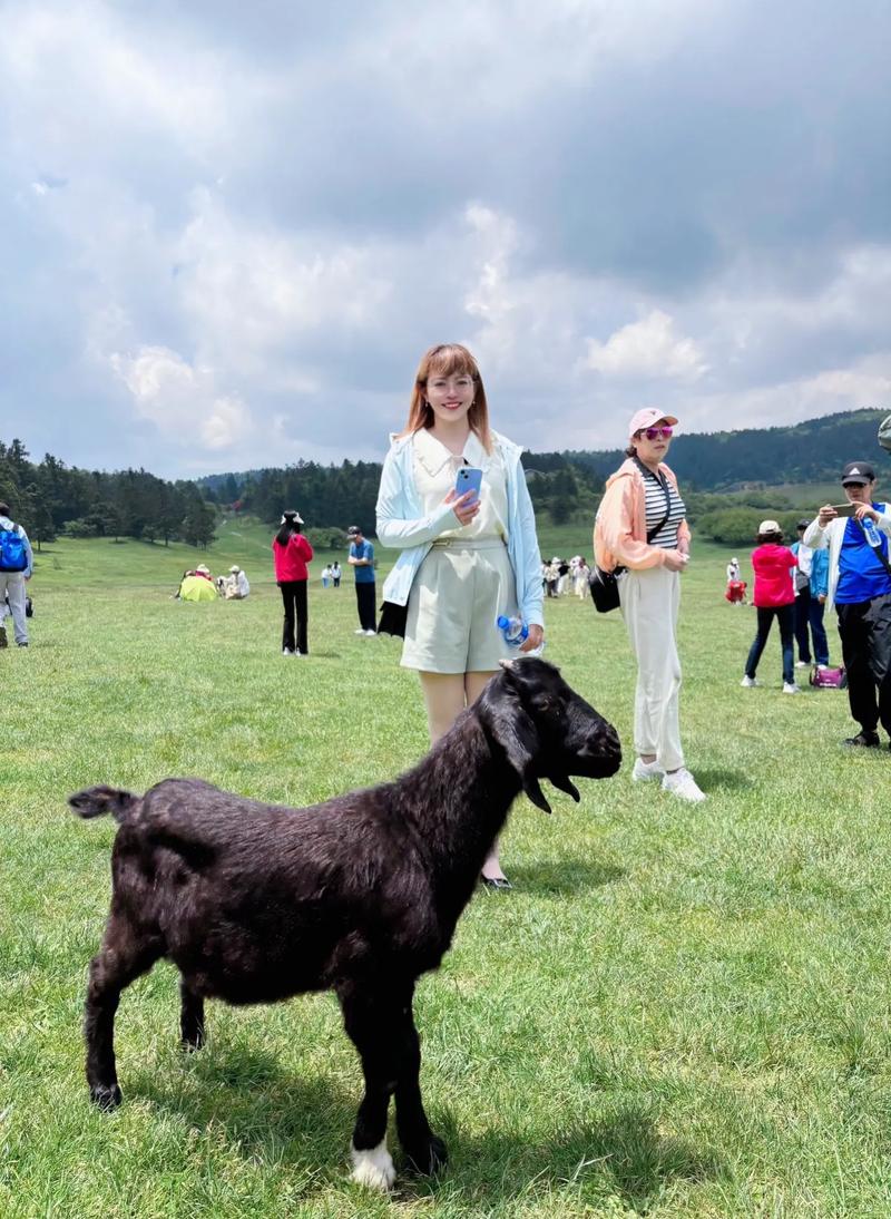 完整版青青草原：你想看的都在这里