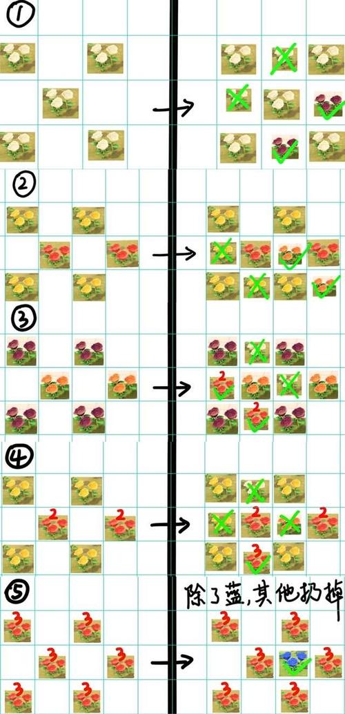 家出少女游戏攻略：完美结局达成方法及支线任务