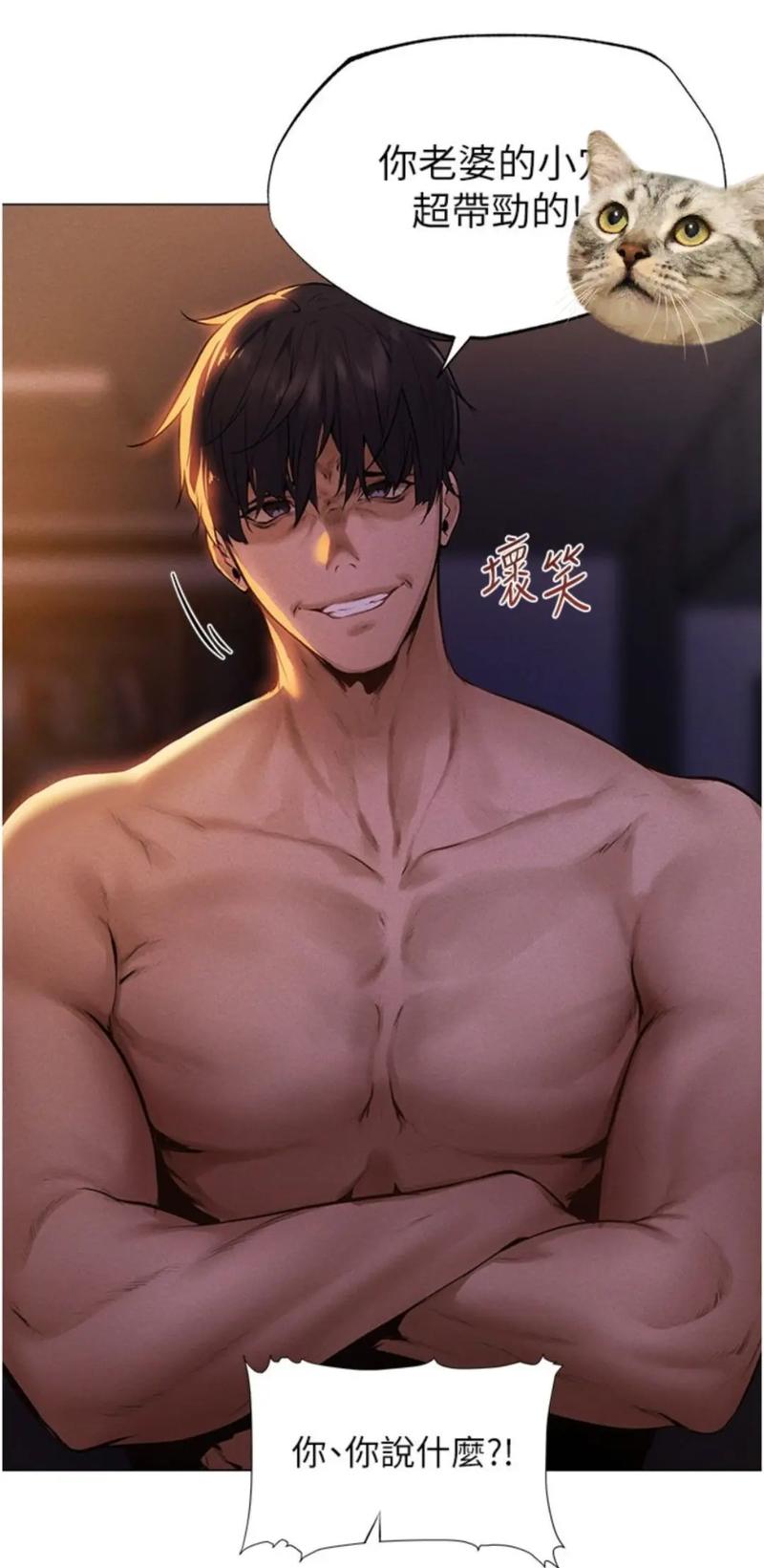 NTR狂热最新版本更新：新增内容抢先看！