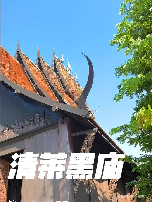 悲伤的天堂安卓:精彩剧情,带你体验另类天堂