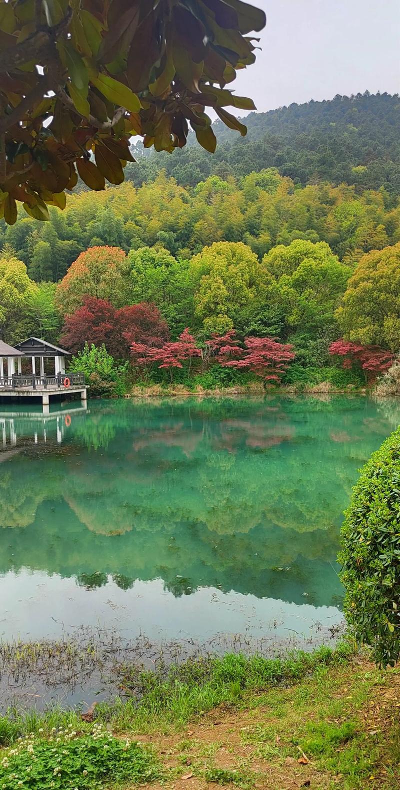 想玩小绿山？这里有你想要的小绿山版本大全！