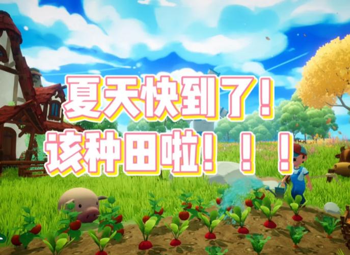 暑假必玩：乡村生活的快乐游戏，体验田园乐趣