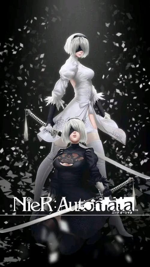 寻找尼尔机械纪元2K剪辑安卓版?这里有精品资源!