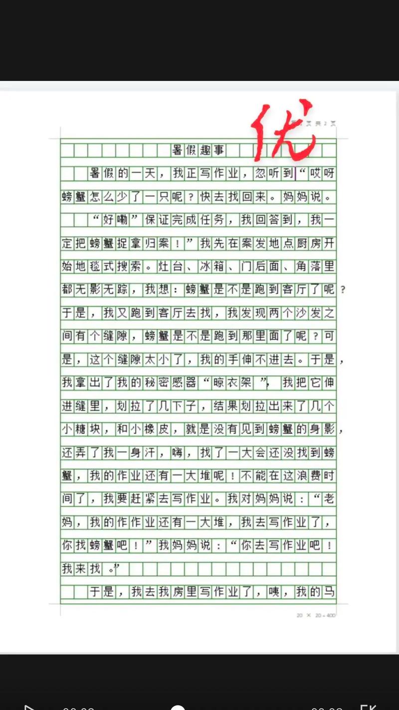 乡村生活的快乐暑假版本大全:我的暑假日记