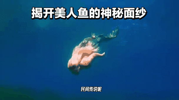 解密游戏美人鱼之迷杨过：烧脑剧情等你挑战