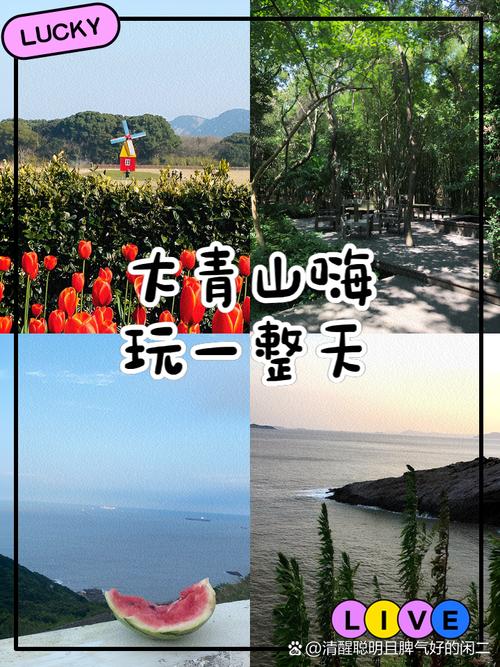 想玩小绿山？内有海阁官方网站，快来下载体验吧！