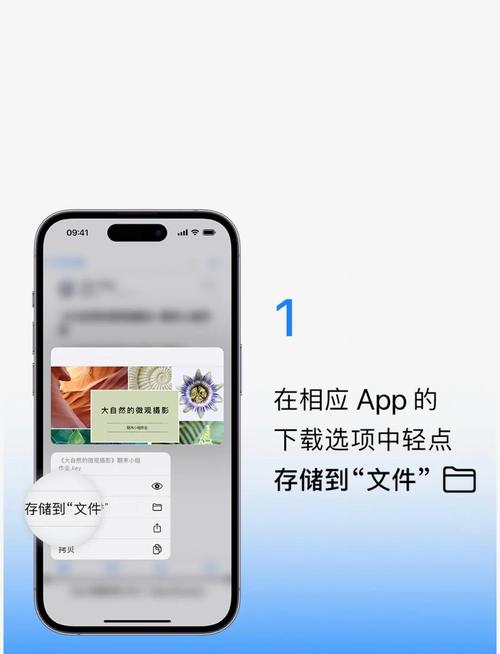 下载地址选择技巧：教你安全快速下载文件