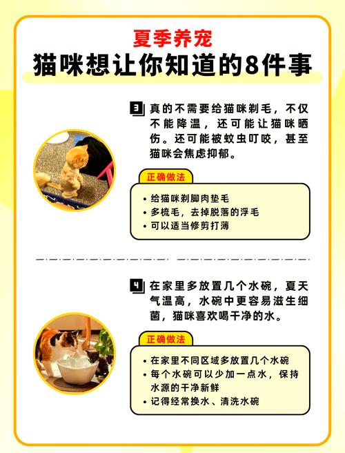 如何下载疯猫?分享靠谱下载渠道及安全小技巧