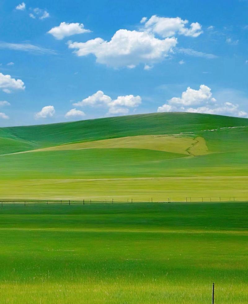 想下载青青草原？教你简单几步搞定！