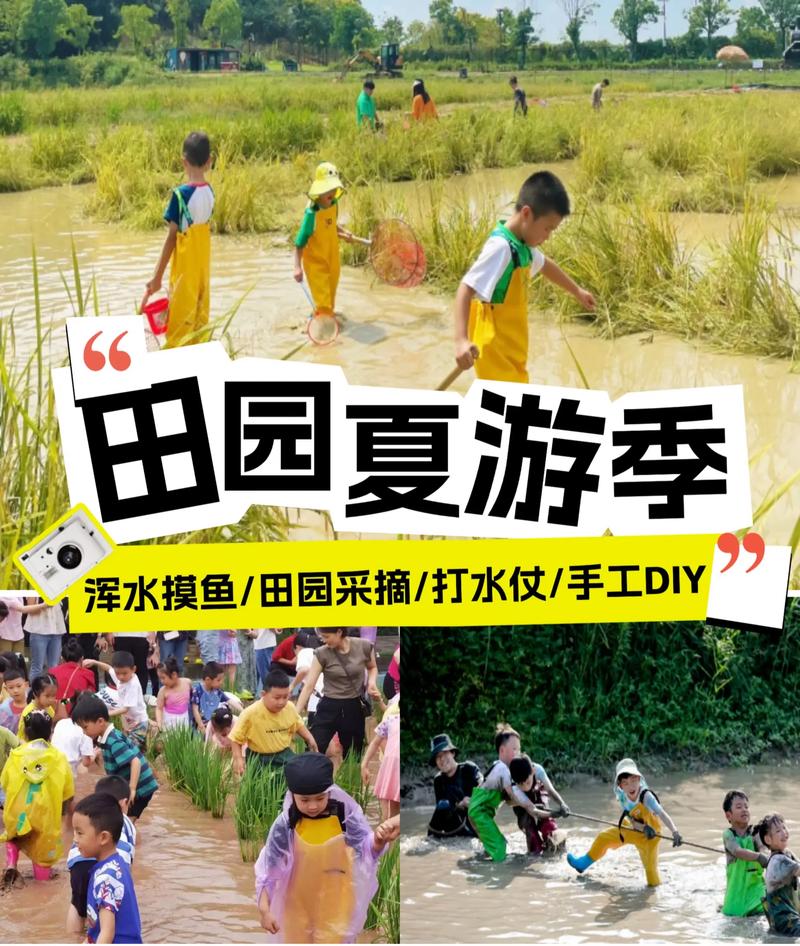 暑假必玩：乡村生活的快乐游戏，体验田园乐趣