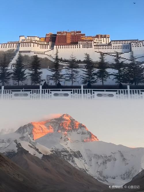 找不到欲妹幻想更新地址?这篇攻略带你轻松找到入口