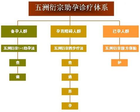 援助妊娠学院3.1更新地址在哪里？官方正版下载途径推荐