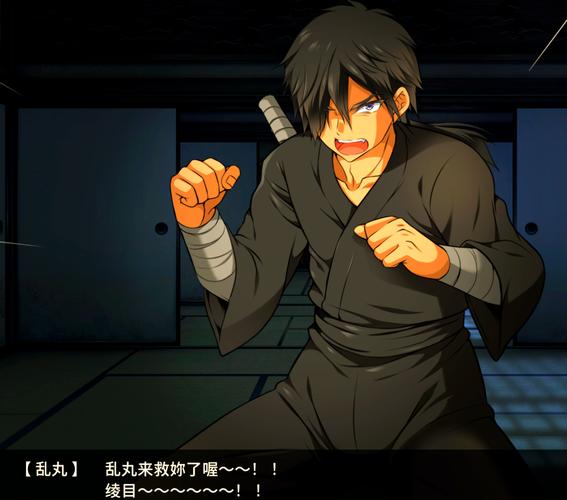 忍堕汉化版下载：安卓版游戏资源免费获取