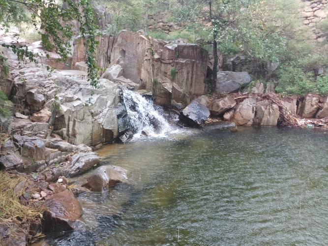 凤凰地址更新了!教你快速找到最新入口