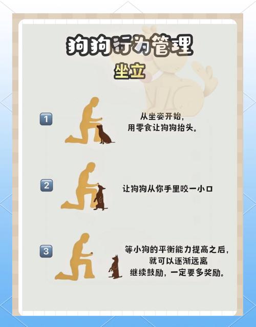 精灵女上司的训狗术下载教程：快速上手玩转游戏
